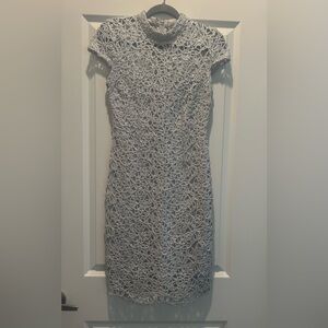 Premier Silver Lace-Overlay Mini Dress